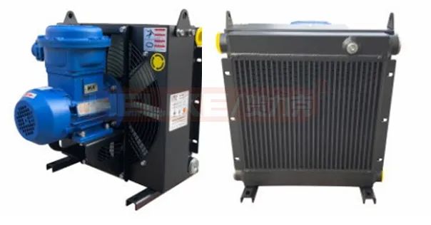 4. Punts de coneixement de la selecció del radiador refrigerat per aire