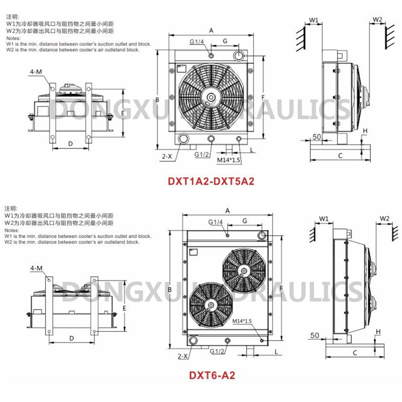 DXT Specification (1)